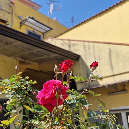 圣乔治阿克雷马诺Casa Marfi公寓 外观 照片